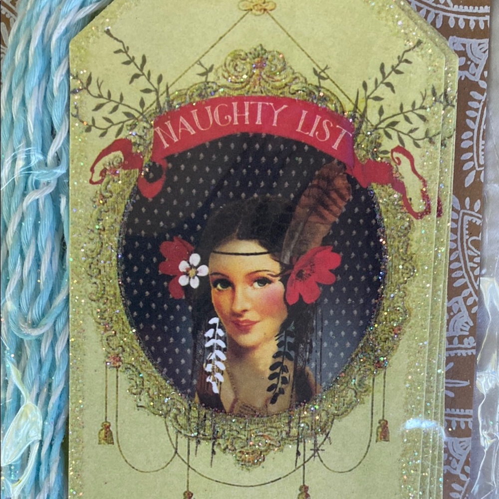 🩵Papaya Naughty List Gift Tags
